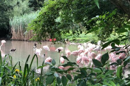 Stadtnaehe Und Doch Mitten In Der Natur Salzbourg Extérieur photo
